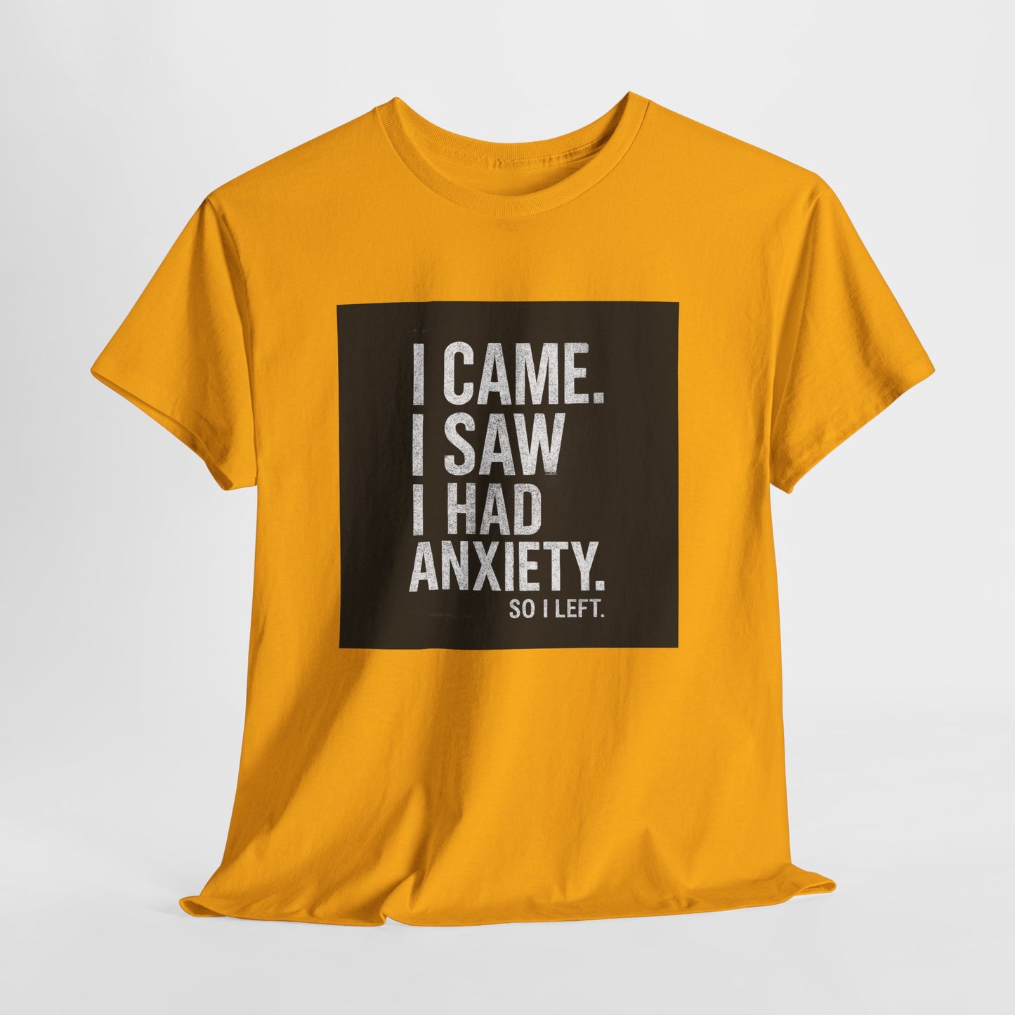 I Came, I Saw, I Had Anxiety Tee - Funny Mental Health Graphic T-Shirt