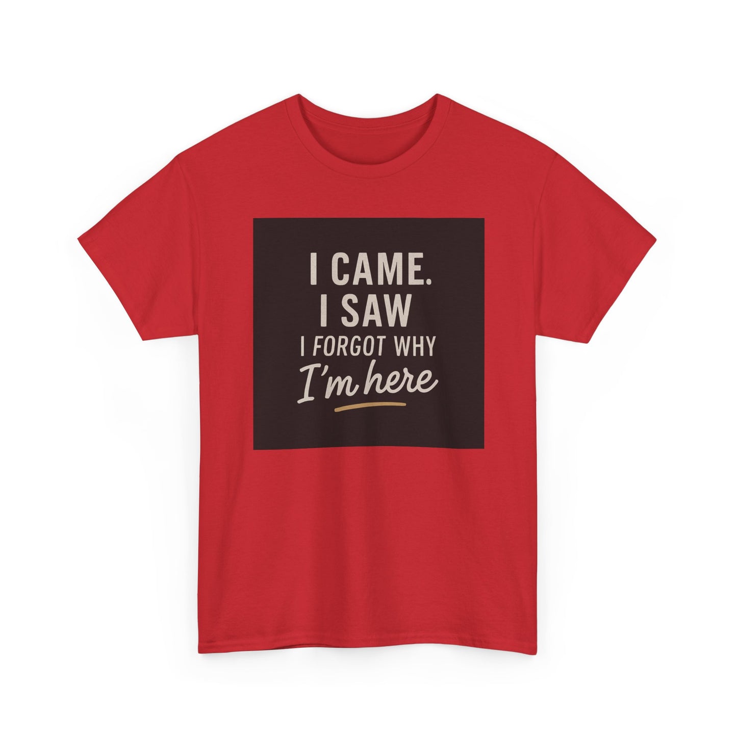 Funny Graphic Tee — “I Came. I Saw. I Forgot Why I’m Here” Cotton T-Shirt